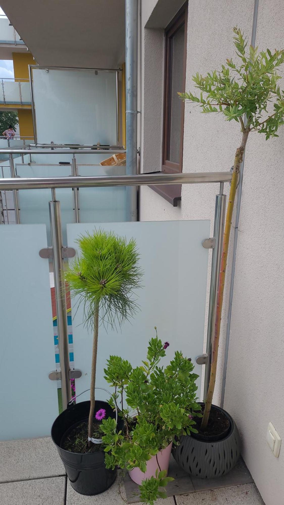 Apartament Lilla Jelenia Gora Exterior photo
